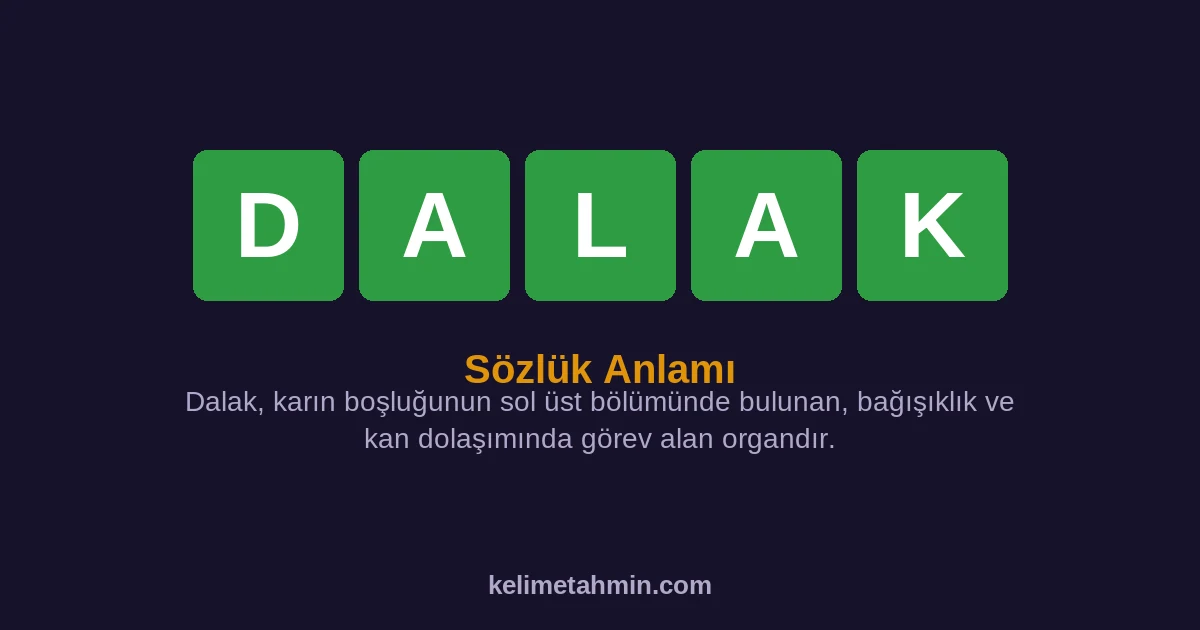 DALAK DALAK — anlamı ve örnek cümleler