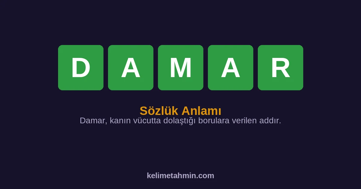 DAMAR DAMAR — anlamı ve örnek cümleler