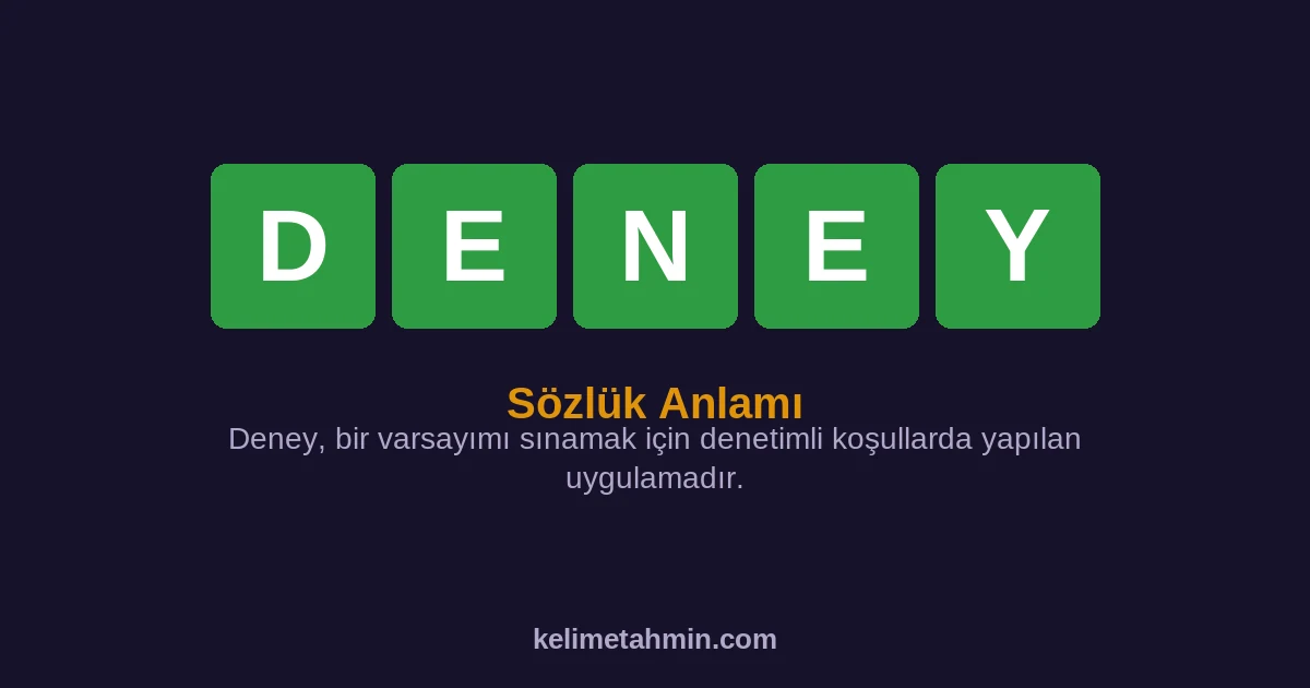 DENEY DENEY — anlamı ve örnek cümleler