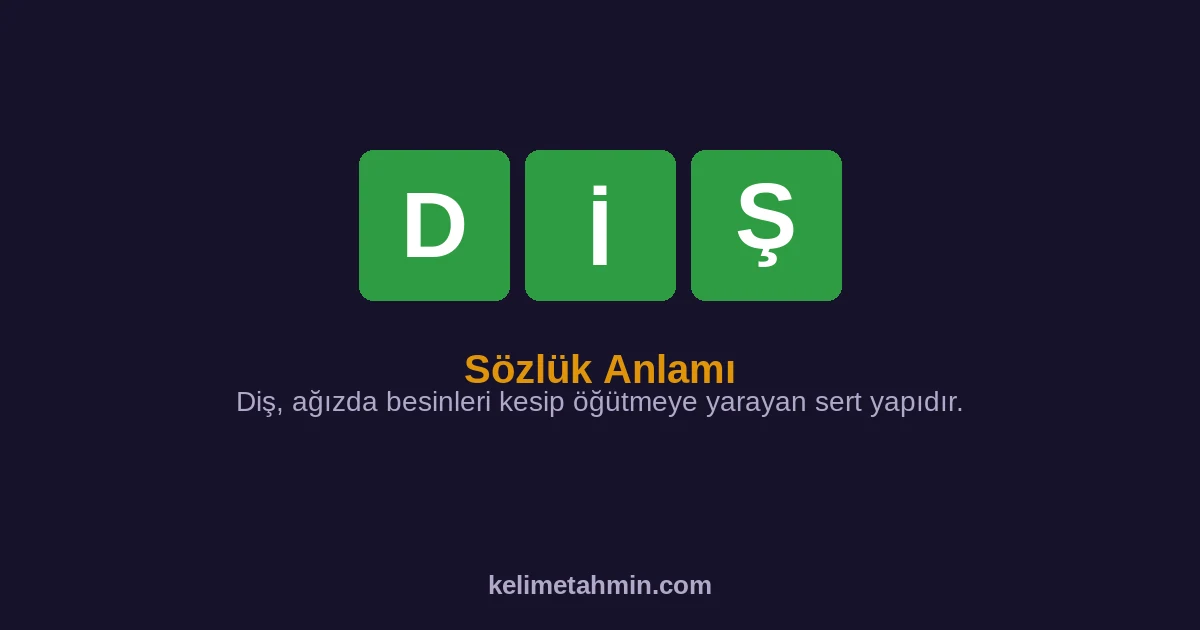 DİŞ DİŞ — anlamı ve örnek cümleler