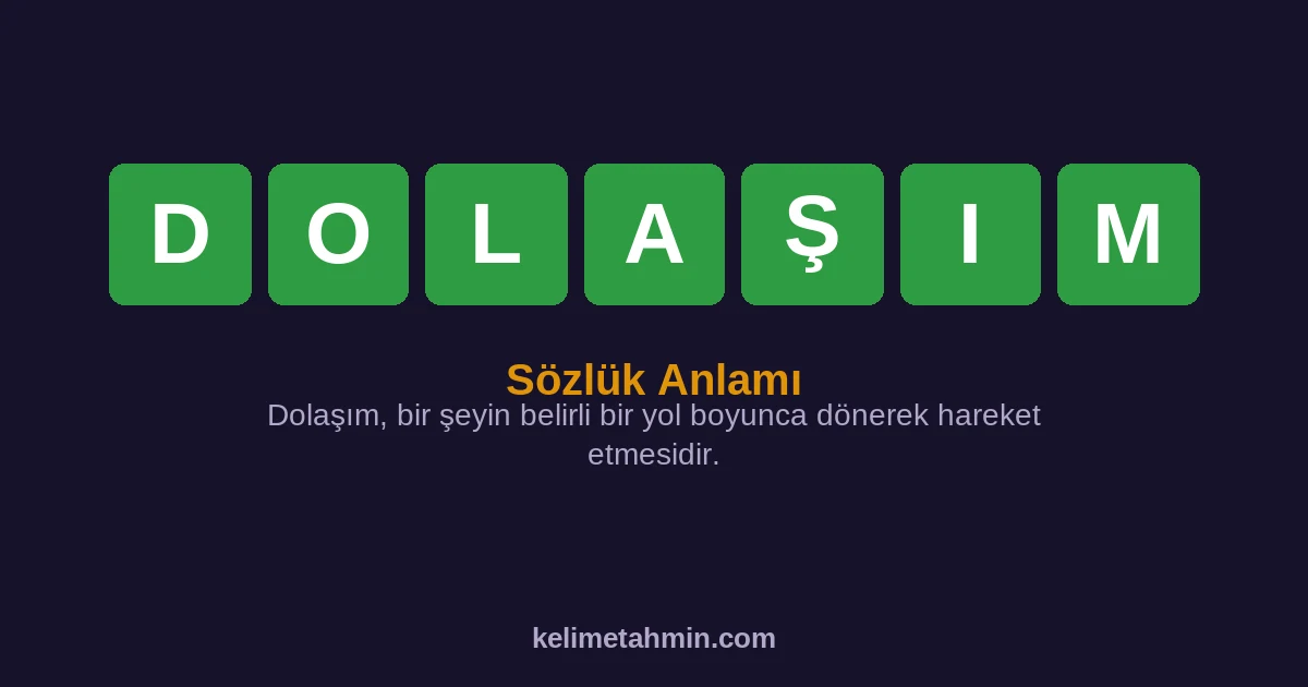 DOLAŞIM DOLAŞIM — anlamı ve örnek cümleler