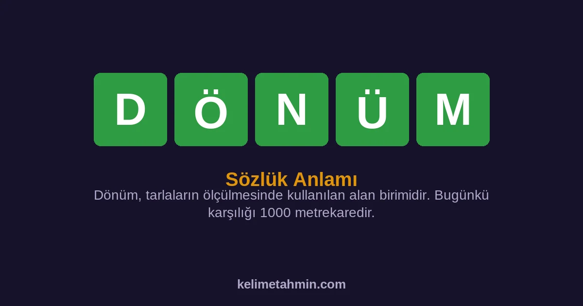 DÖNÜM DÖNÜM — anlamı ve örnek cümleler