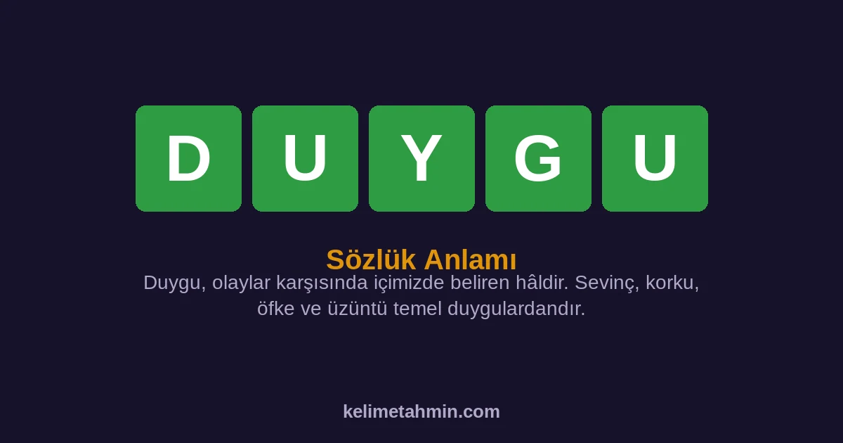 DUYGU DUYGU — anlamı ve örnek cümleler