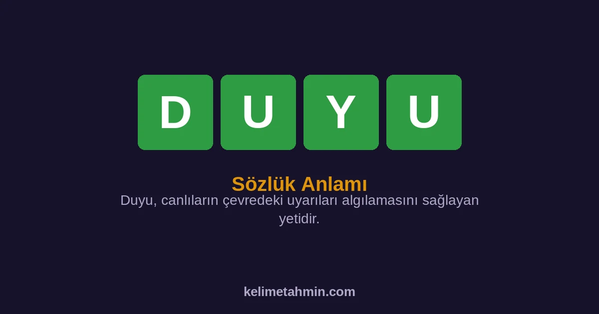DUYU DUYU — anlamı ve örnek cümleler