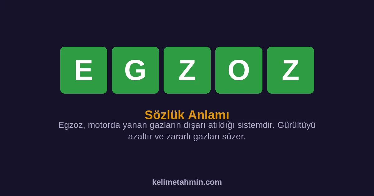 EGZOZ EGZOZ — anlamı ve örnek cümleler