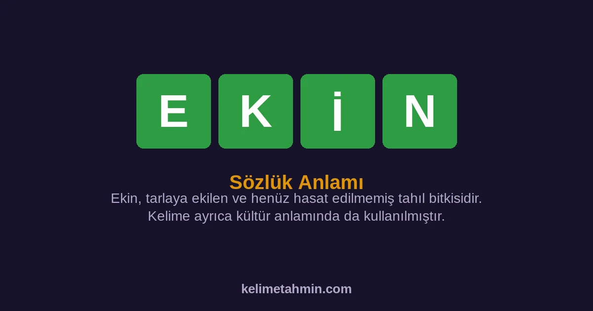 EKİN EKİN — anlamı ve örnek cümleler