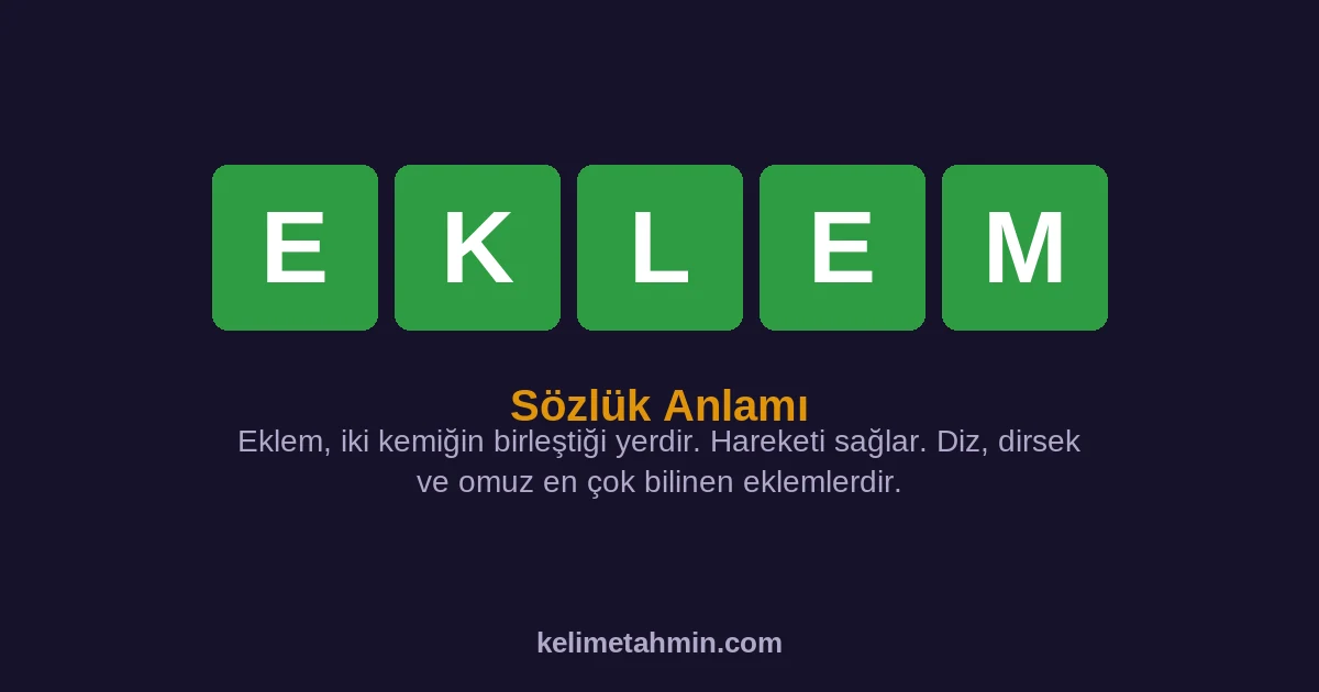 EKLEM EKLEM — anlamı ve örnek cümleler
