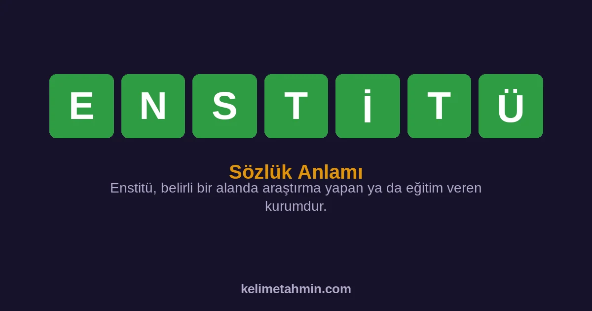 ENSTİTÜ ENSTİTÜ — anlamı ve örnek cümleler