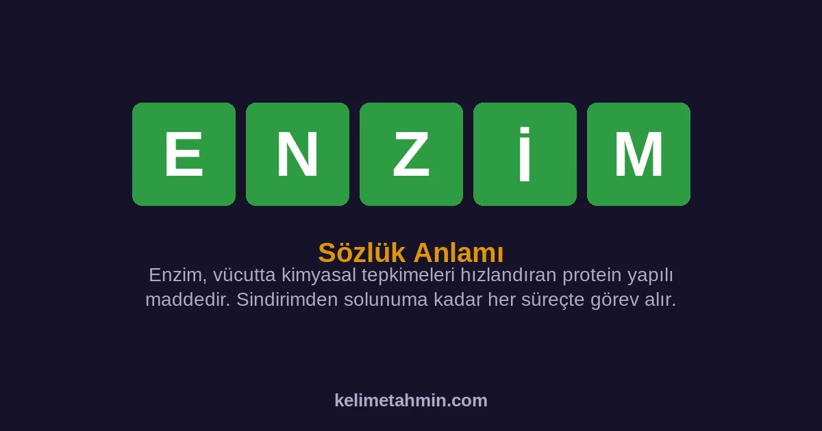 ENZİM ENZİM — anlamı ve örnek cümleler