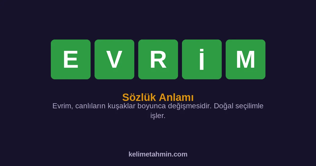 EVRİM EVRİM — anlamı ve örnek cümleler
