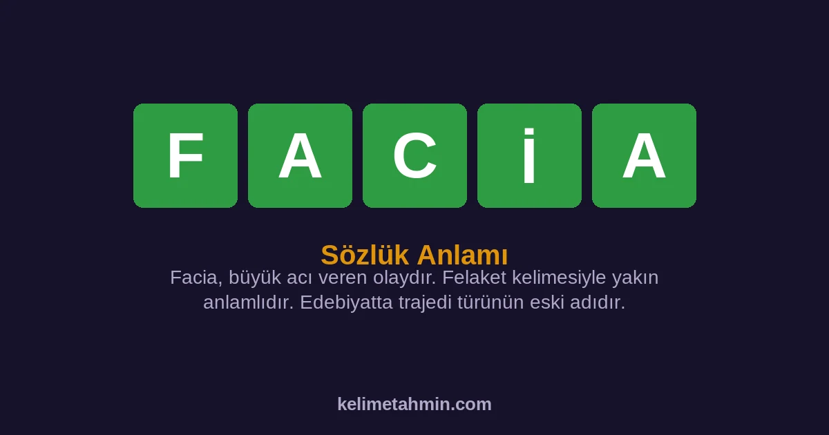 FACİA FACİA — anlamı ve örnek cümleler