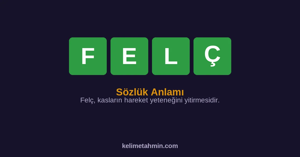 FELÇ FELÇ — anlamı ve örnek cümleler