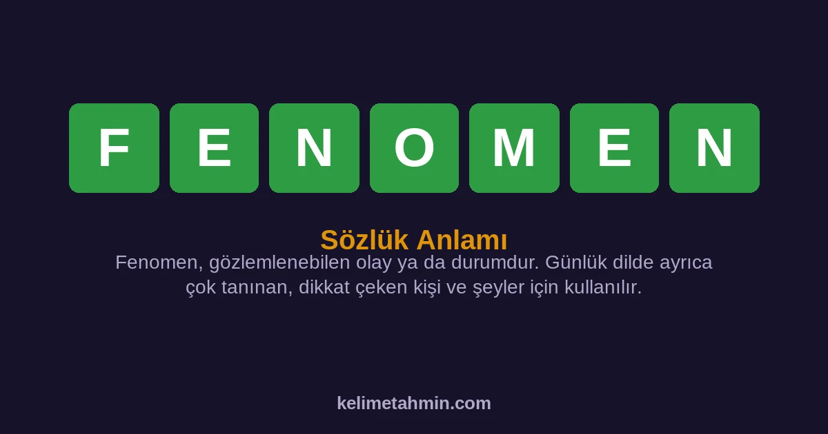 FENOMEN FENOMEN — anlamı ve örnek cümleler