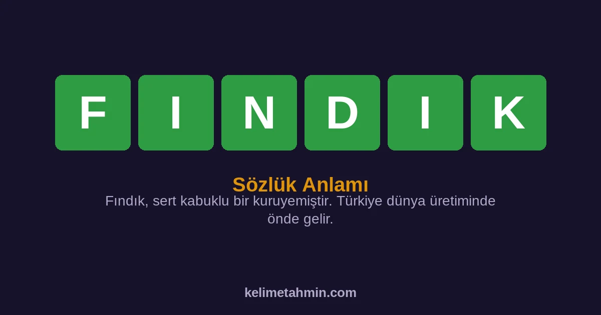 FINDIK FINDIK — anlamı ve örnek cümleler