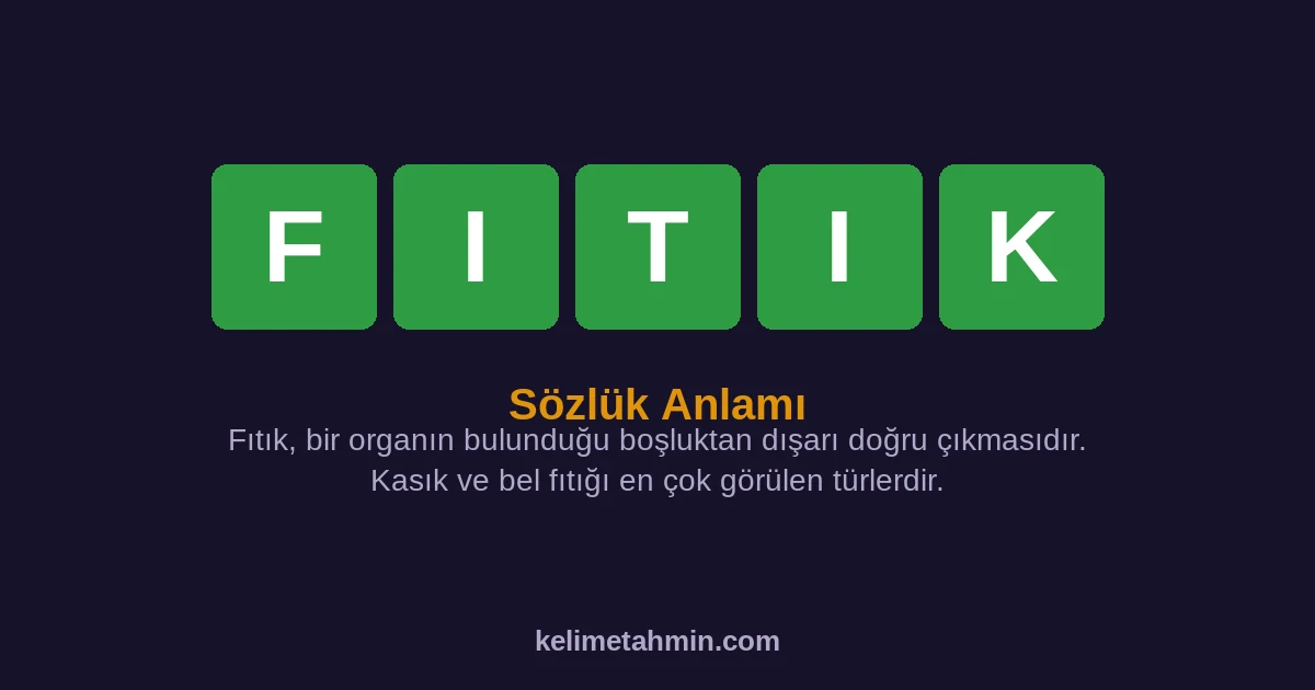 FITIK FITIK — anlamı ve örnek cümleler