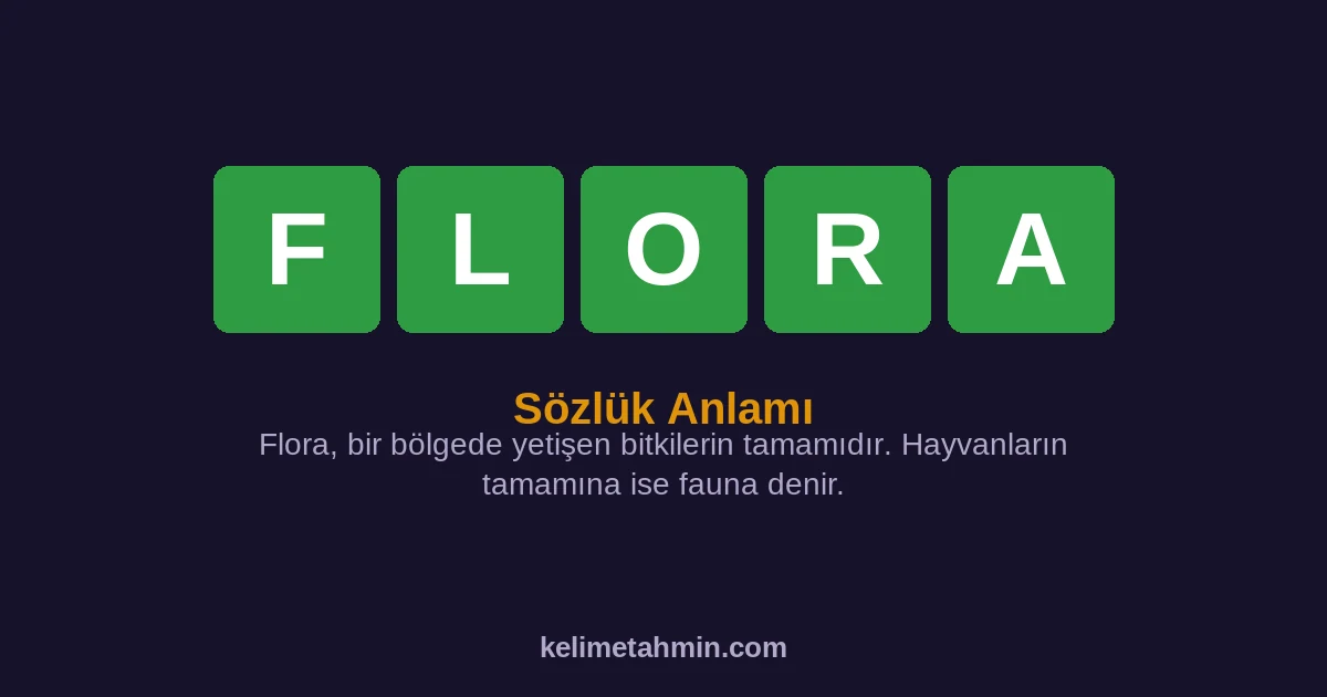 FLORA FLORA — anlamı ve örnek cümleler