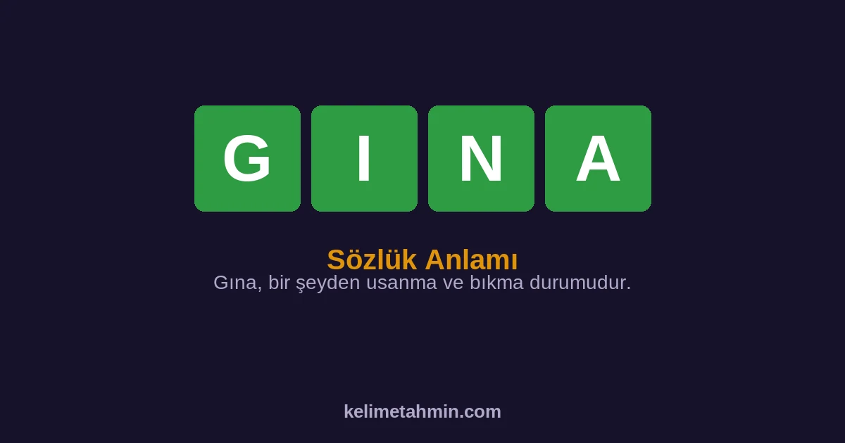 GINA GINA — anlamı ve örnek cümleler
