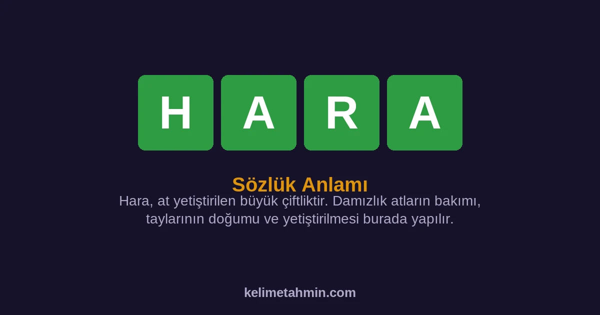 HARA HARA — anlamı ve örnek cümleler