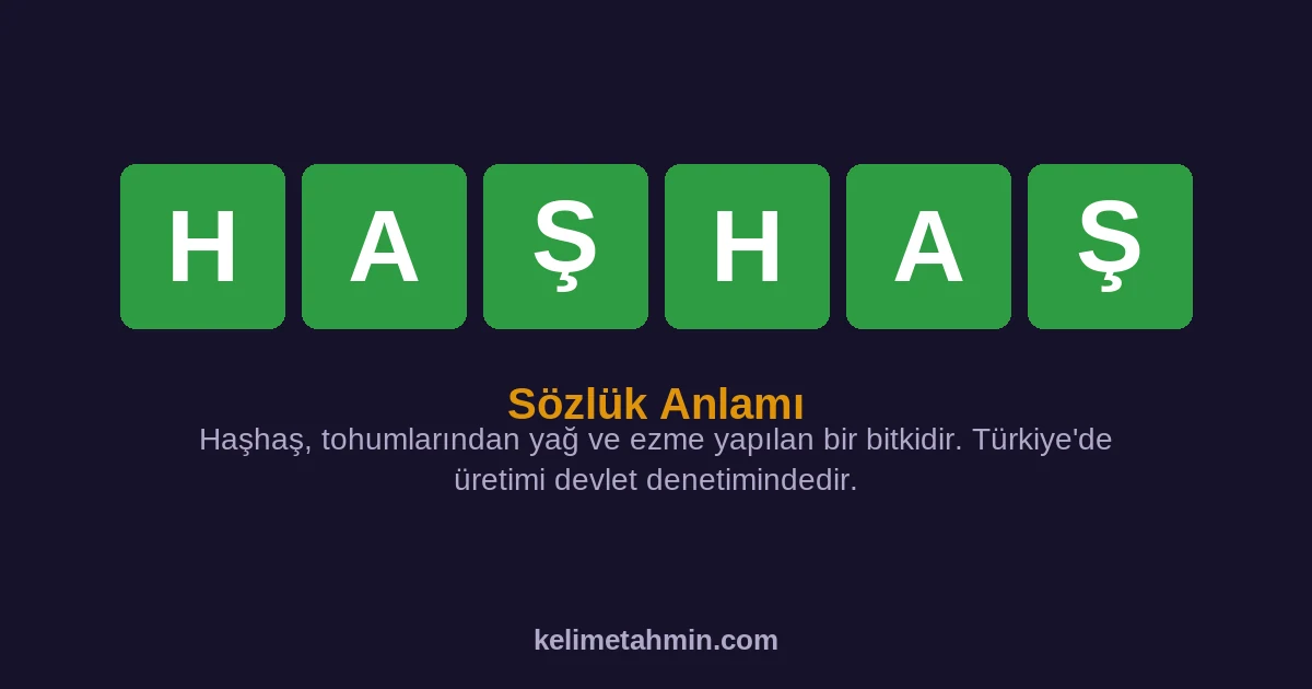 HAŞHAŞ HAŞHAŞ — anlamı ve örnek cümleler