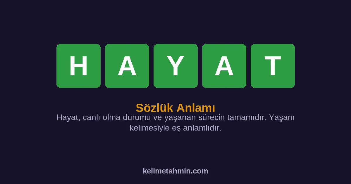 HAYAT HAYAT — anlamı ve örnek cümleler