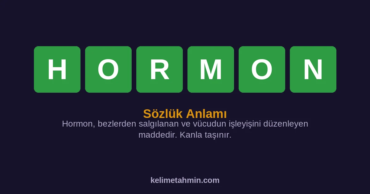 HORMON HORMON — anlamı ve örnek cümleler