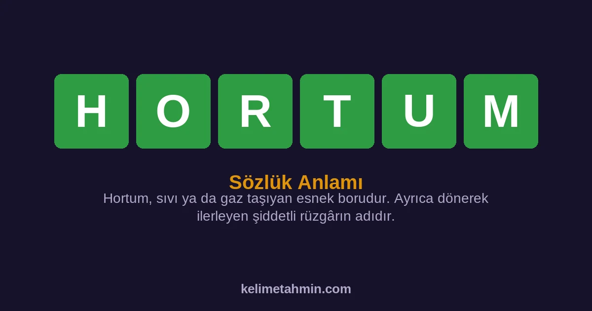 HORTUM HORTUM — anlamı ve örnek cümleler