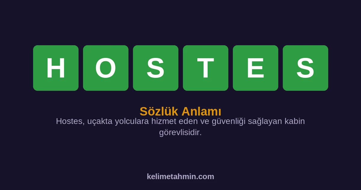 HOSTES HOSTES — anlamı ve örnek cümleler