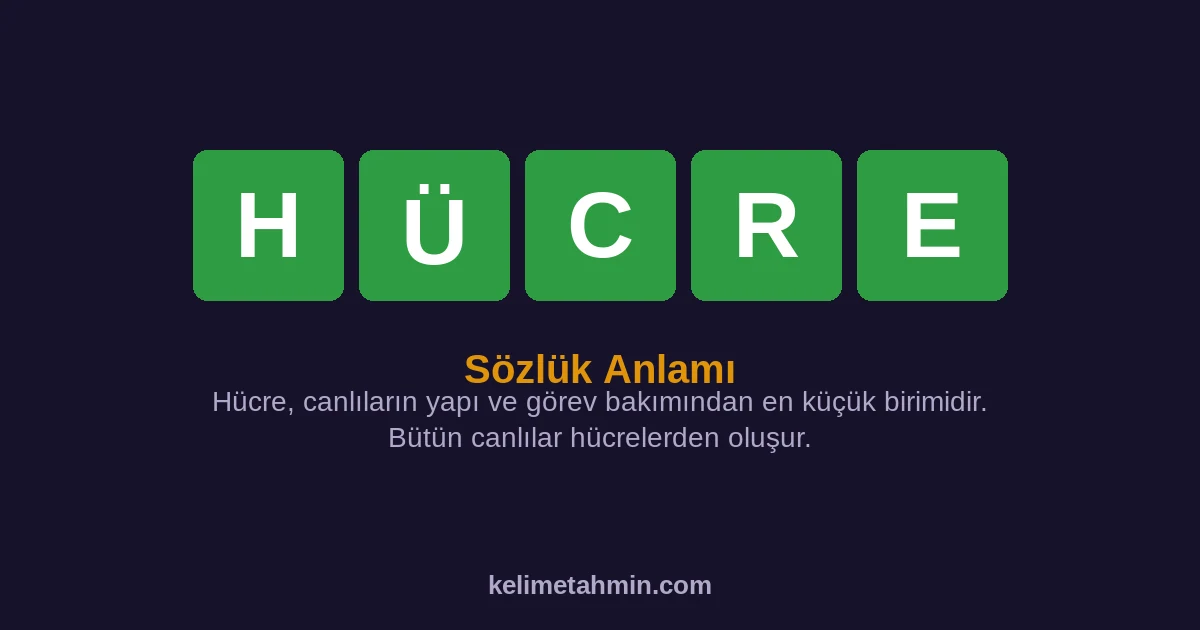 HÜCRE HÜCRE — anlamı ve örnek cümleler