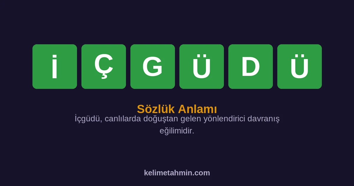 İÇGÜDÜ İÇGÜDÜ — anlamı ve örnek cümleler