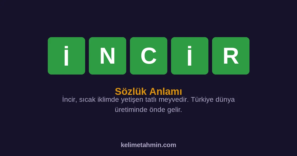 İNCİR İNCİR — anlamı ve örnek cümleler