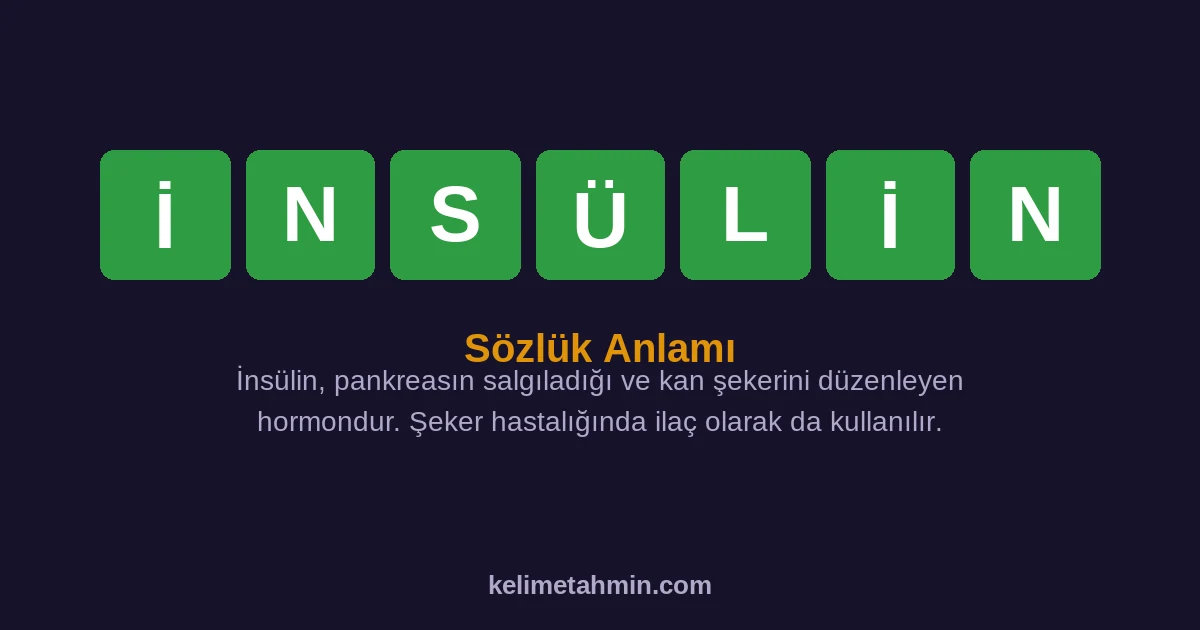 İNSÜLİN İNSÜLİN — anlamı ve örnek cümleler