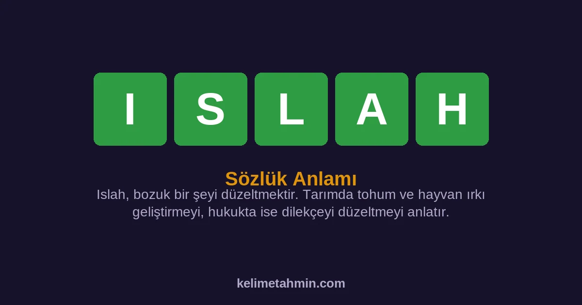 ISLAH ISLAH — anlamı ve örnek cümleler
