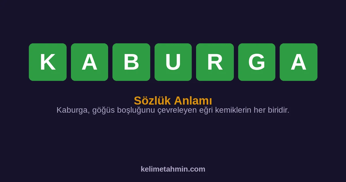 KABURGA KABURGA — anlamı ve örnek cümleler
