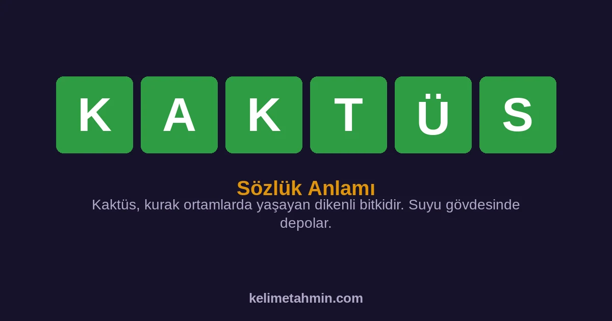 KAKTÜS KAKTÜS — anlamı ve örnek cümleler