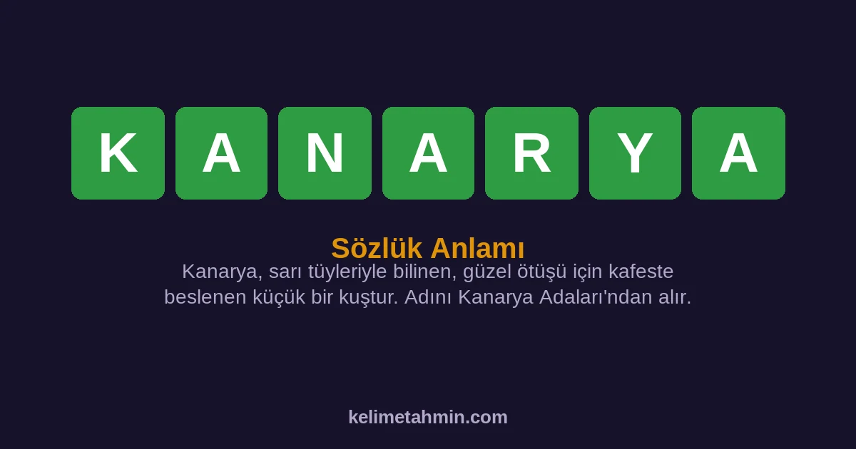 KANARYA KANARYA — anlamı ve örnek cümleler