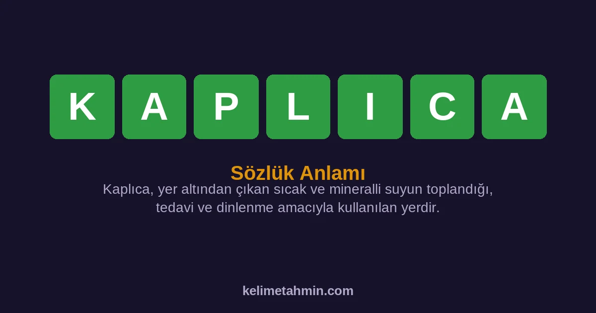 KAPLICA KAPLICA — anlamı ve örnek cümleler