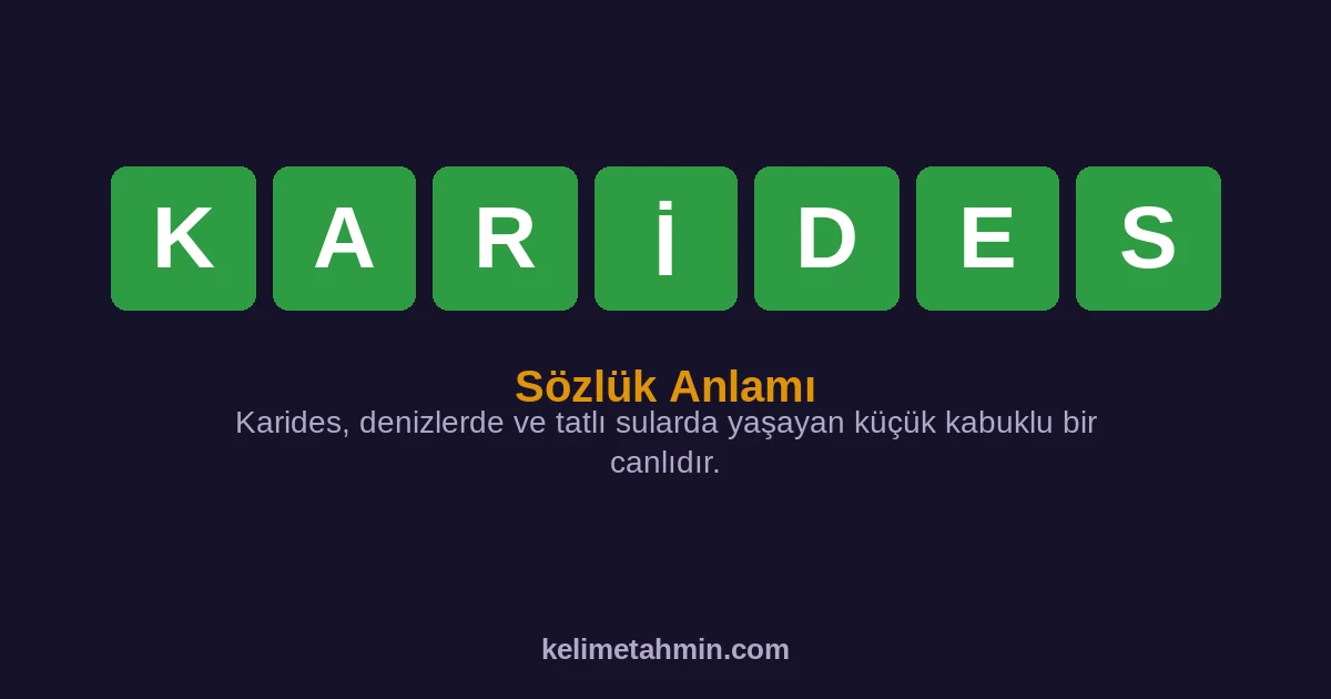 KARİDES KARİDES — anlamı ve örnek cümleler