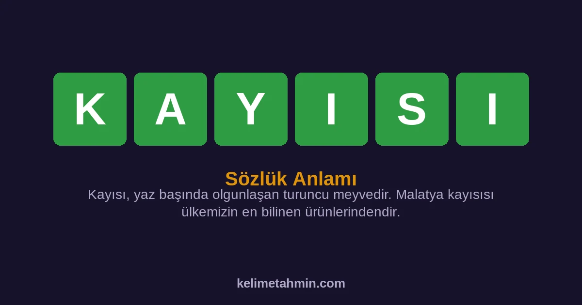 KAYISI KAYISI — anlamı ve örnek cümleler