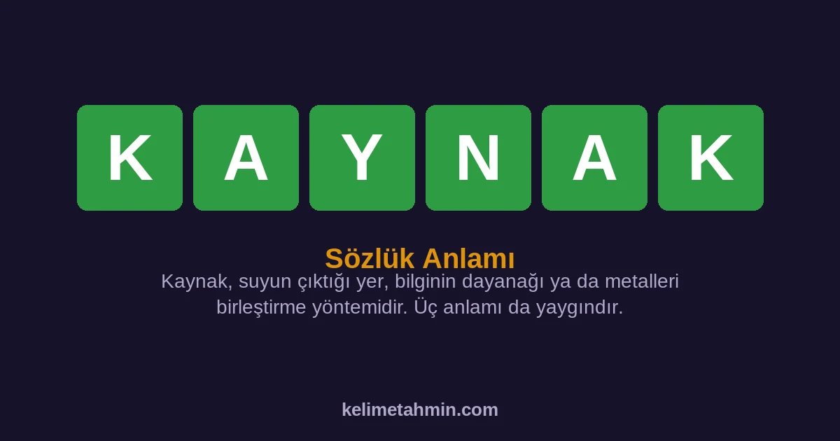 KAYNAK KAYNAK — anlamı ve örnek cümleler