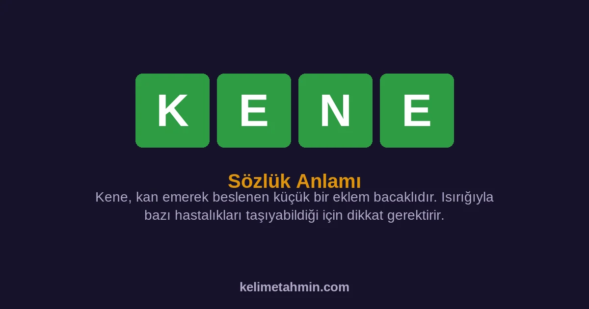 KENE KENE — anlamı ve örnek cümleler