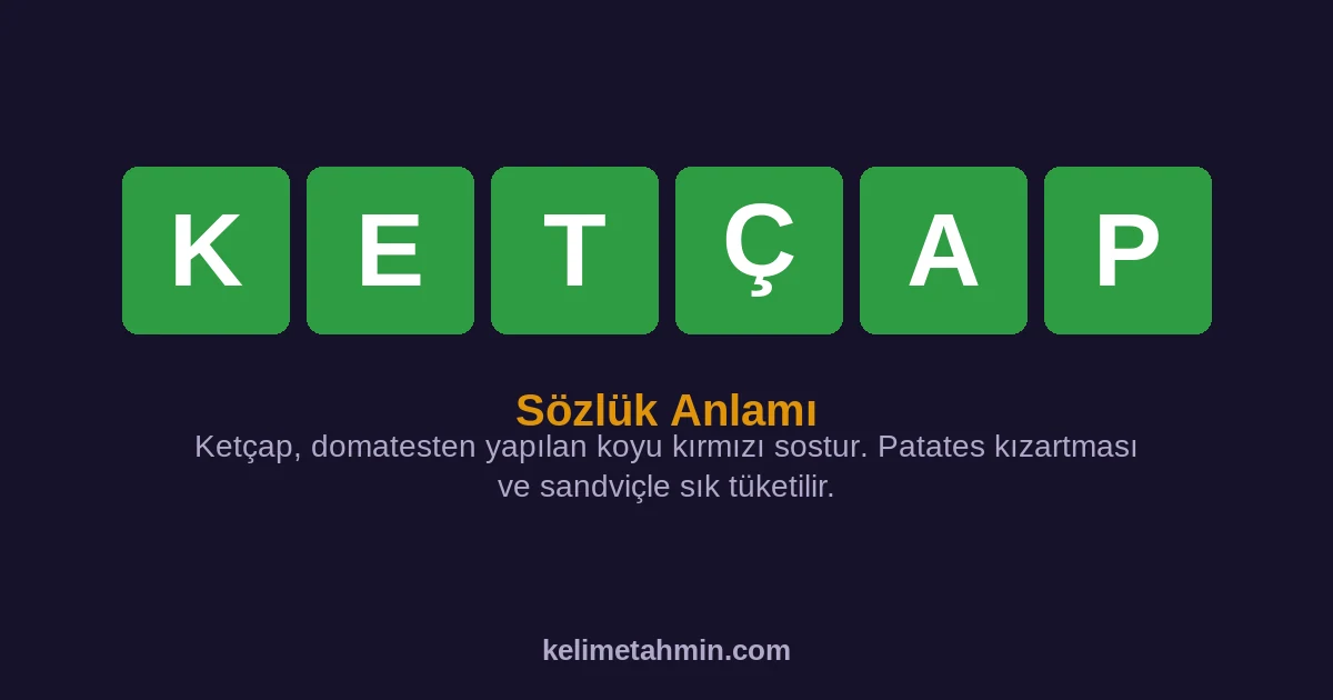 KETÇAP KETÇAP — anlamı ve örnek cümleler