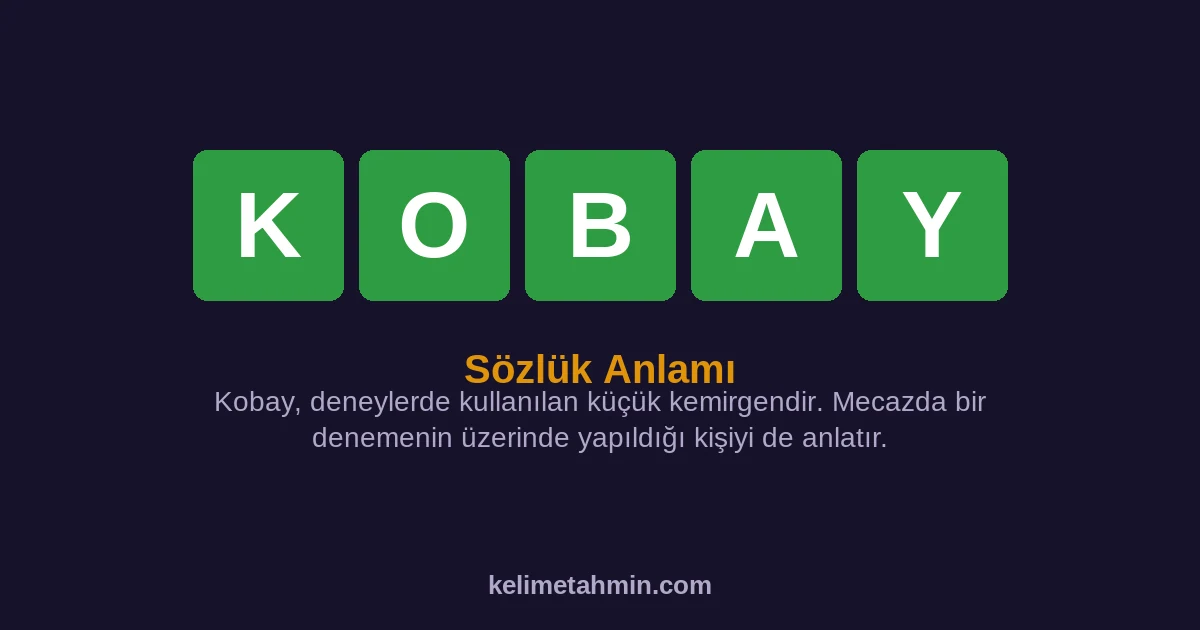 KOBAY KOBAY — anlamı ve örnek cümleler