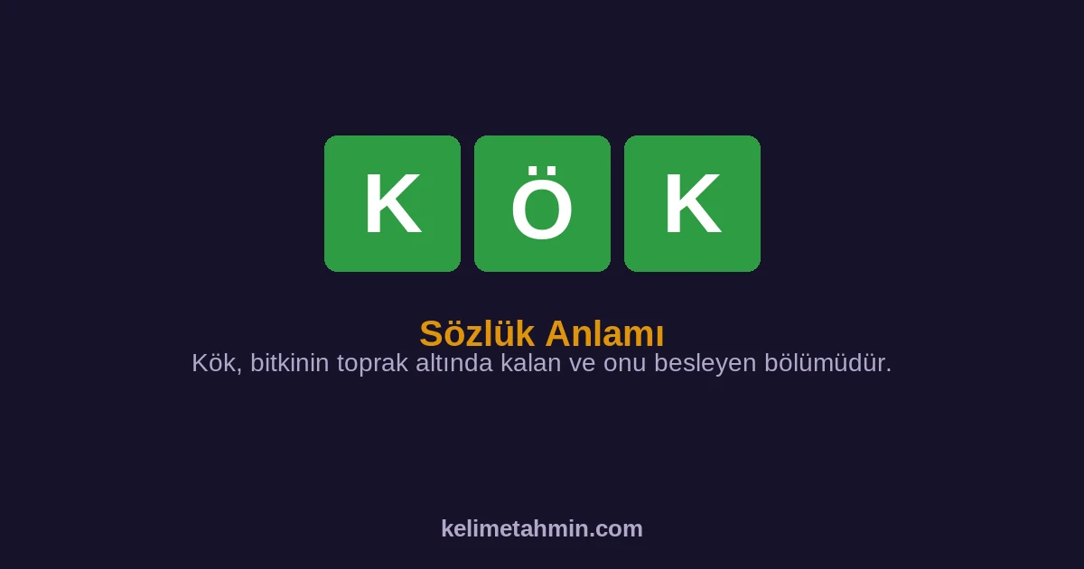 KÖK KÖK — anlamı ve örnek cümleler