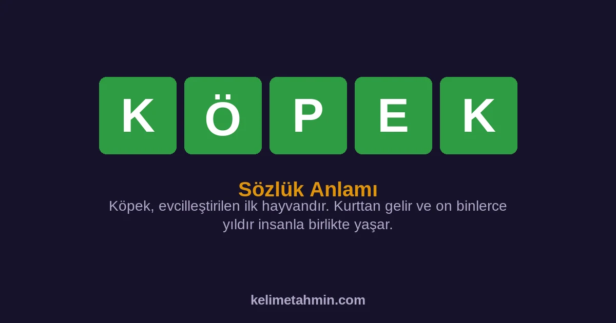 KÖPEK KÖPEK — anlamı ve örnek cümleler