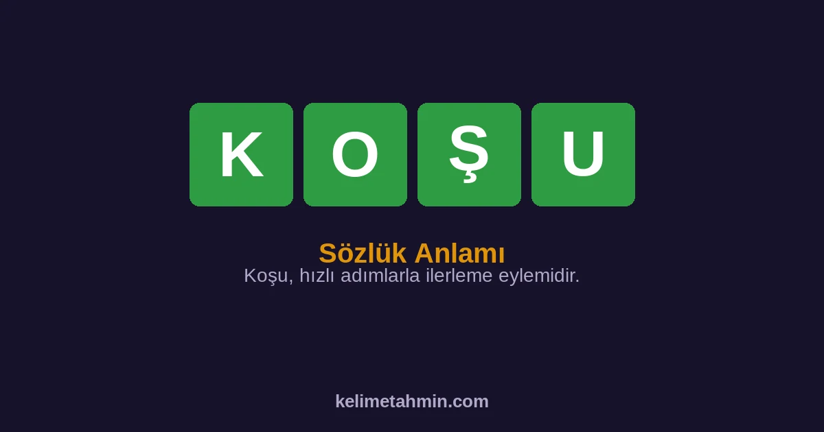 KOŞU KOŞU — anlamı ve örnek cümleler