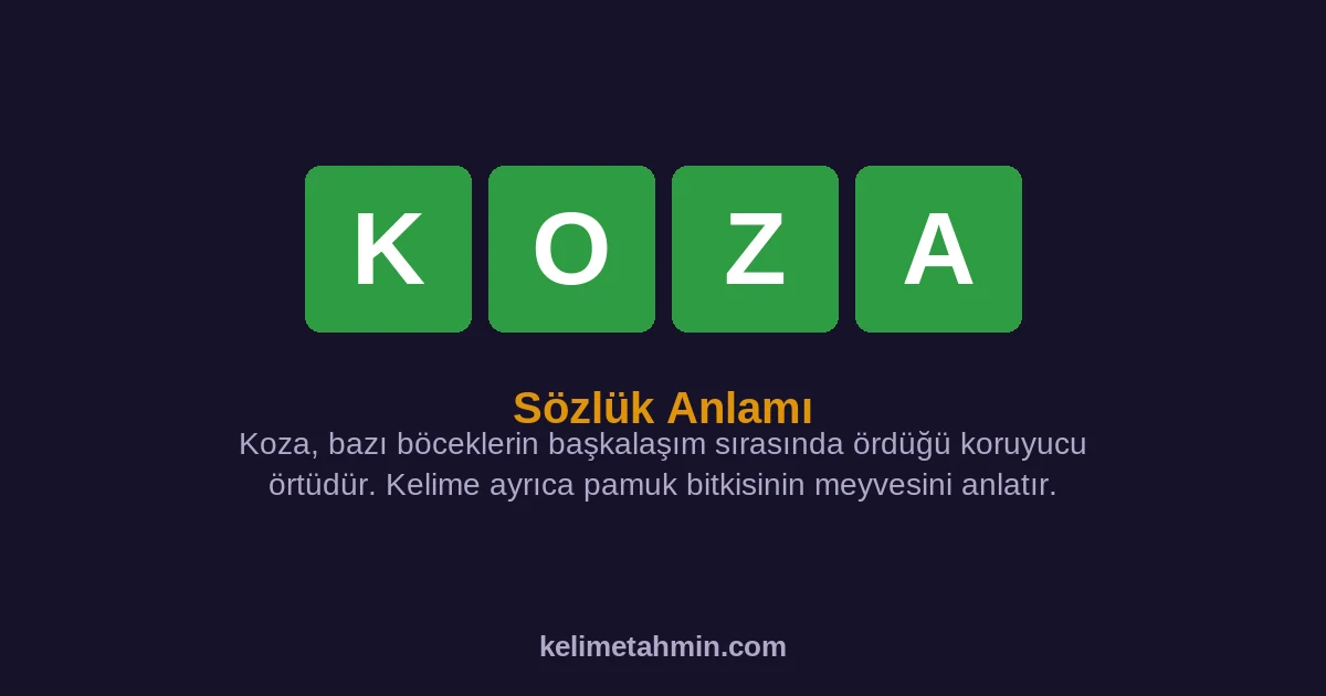 KOZA KOZA — anlamı ve örnek cümleler
