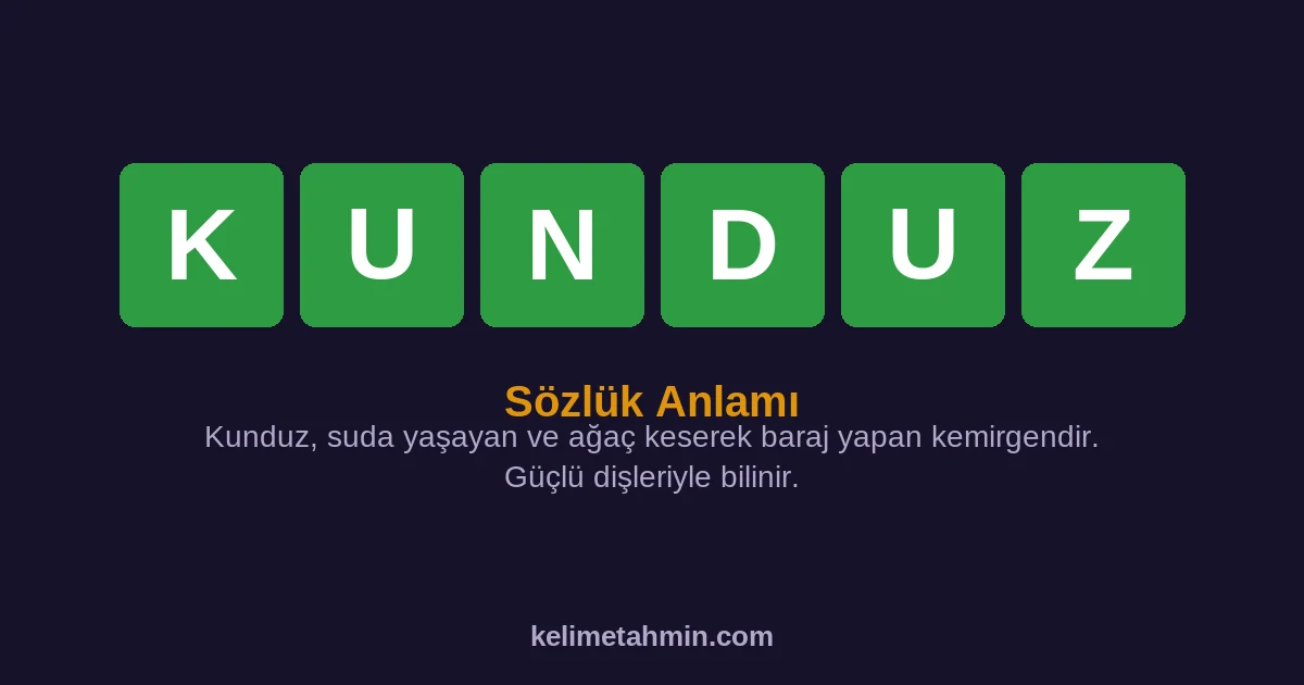 KUNDUZ KUNDUZ — anlamı ve örnek cümleler