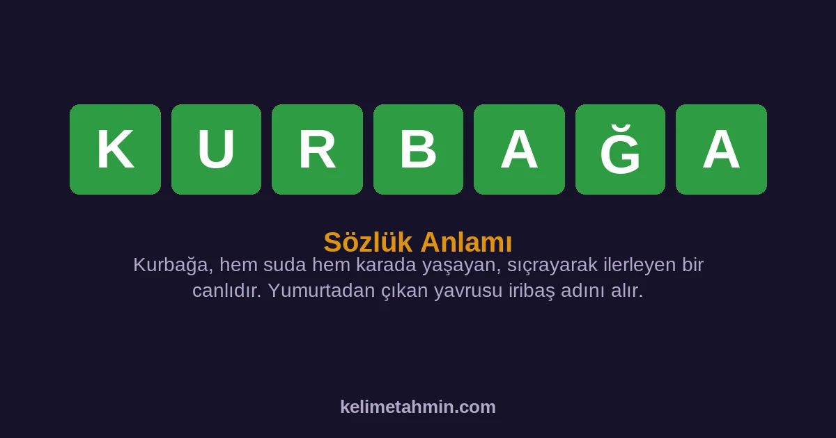 KURBAĞA KURBAĞA — anlamı ve örnek cümleler