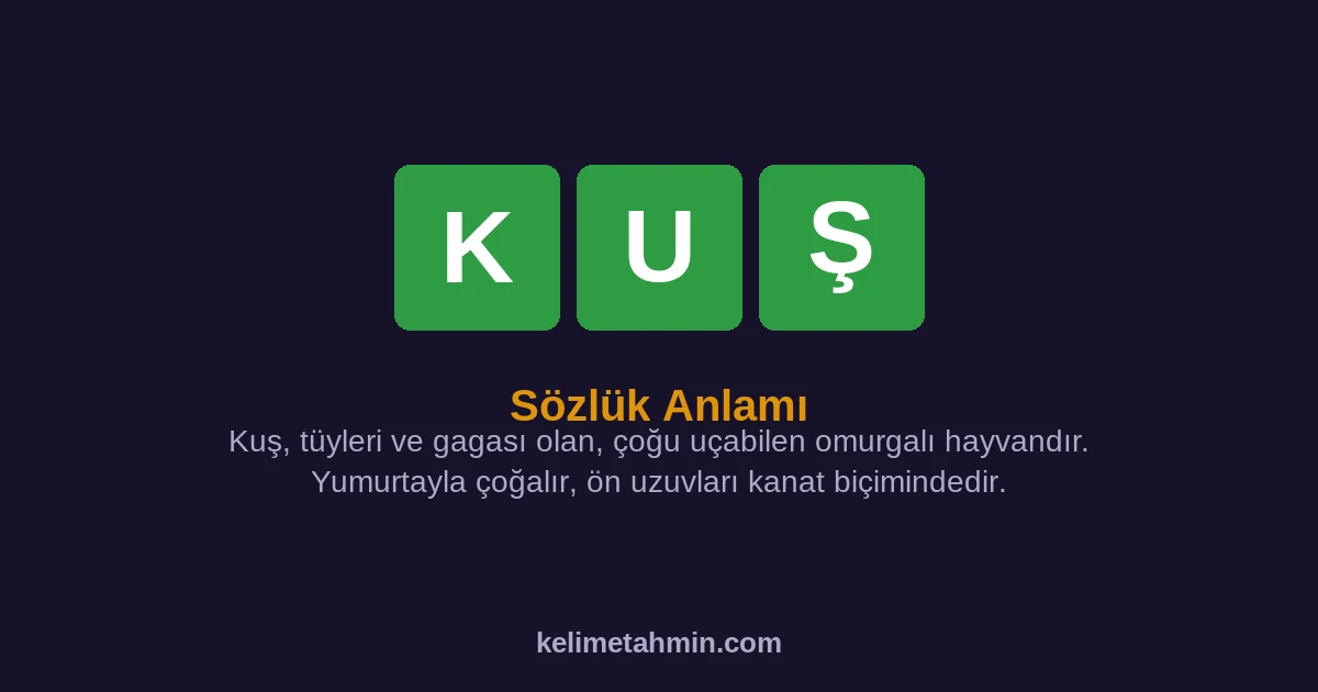 KUŞ KUŞ — anlamı ve örnek cümleler