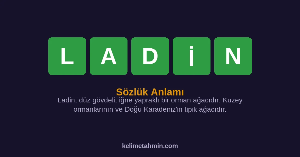 LADİN LADİN — anlamı ve örnek cümleler